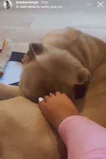 DaniLeigh feet photo 4