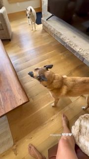 Danica Patrick feet photo thumbnail