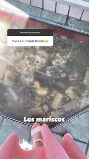 Daniela Aedo feet photo 7