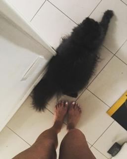 Daniela Cardone feet photo 6