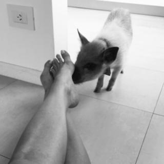 Daniela Cardone feet photo 3