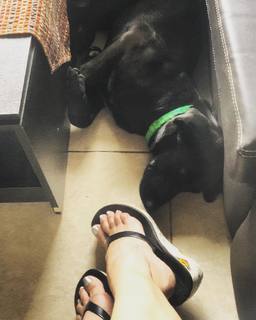 Daniela Cardone feet photo 9