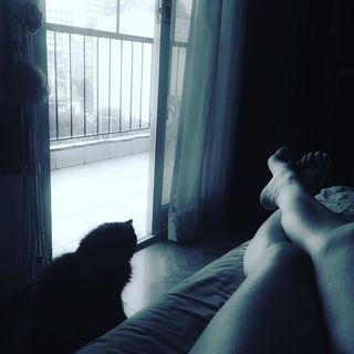 Daniela Cardone feet photo 11