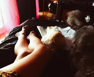 Daniela Cardone feet photo 10