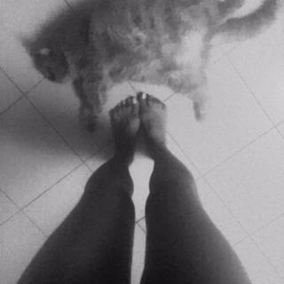 Daniela Cardone feet photo 9