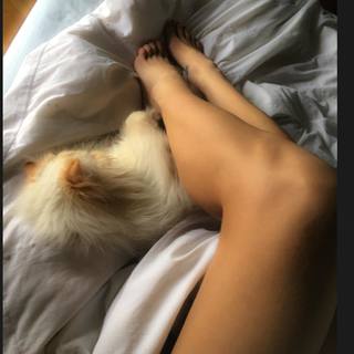 Daniela Cardone feet photo 6