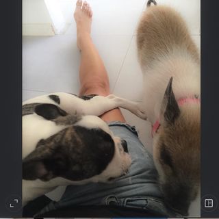 Daniela Cardone feet photo 3