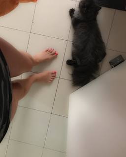 Daniela Cardone feet photo 1