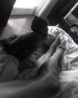 Daniela Cardone feet photo 19