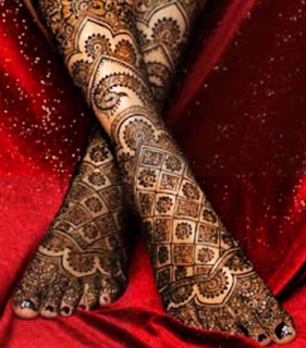 Daniela Cardone feet photo 17