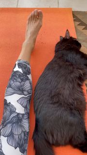 Daniela Escobar feet photo 1