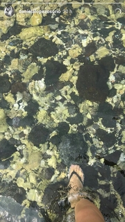 Daniela Lopez Osorio feet photo 15