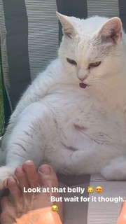 Daniela Michalski feet photo 19