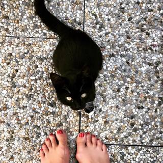 Daniela Sinkorová feet photo 6