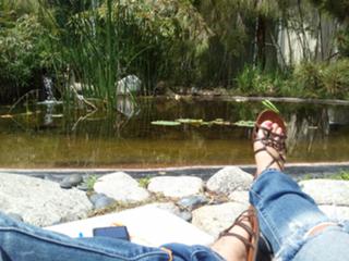 Daniele Donato feet photo 15
