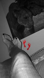 Daniella Monet feet photo thumbnail