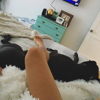 Daniella Monet feet photo thumbnail