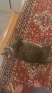 Daniella Pineda feet photo thumbnail