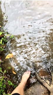 Danielle Campbell feet photo thumbnail
