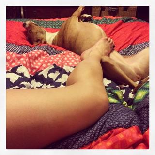 Danielle Colby feet photo thumbnail