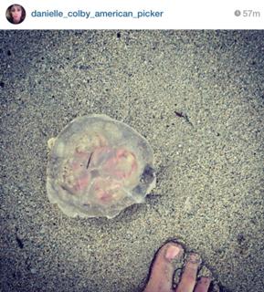 Danielle Colby feet photo thumbnail