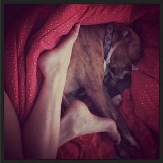 Danielle Colby feet photo thumbnail