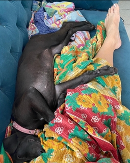 Danielle Colby feet photo thumbnail