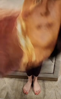 Danielle Fishel feet photo thumbnail
