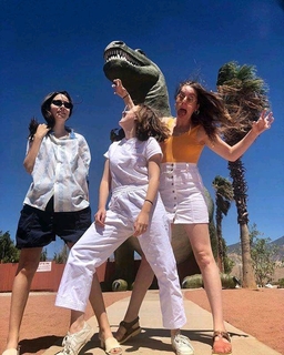Danielle Haim feet photo 19