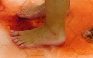 Danielle Harris feet photo thumbnail