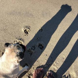 Danielle Nicolet feet photo thumbnail