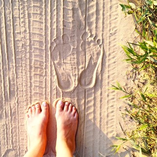 Danielle Noce feet photo 5
