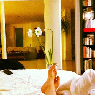 Danielle Noce feet photo 4