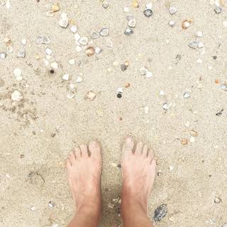Danielle Noce feet photo 7