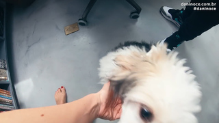 Danielle Noce feet photo 1