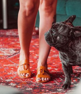Danielle Noce feet photo 14