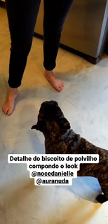 Danielle Noce feet photo 15