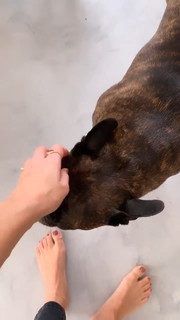 Danielle Noce feet photo 7