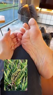 Danielle Noce feet photo 13