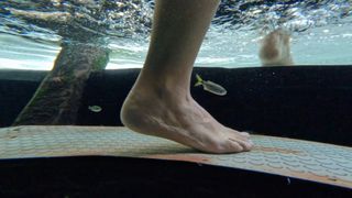 Danielle Noce feet photo 1
