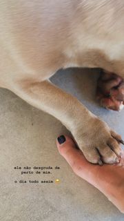 Danielle Noce feet photo 4
