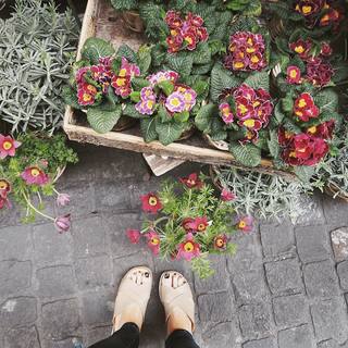 Danielle Peazer feet photo 13