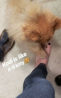 Danielle Trotta feet photo 18