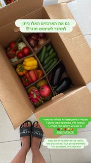 Danit Greenberg feet photo thumbnail