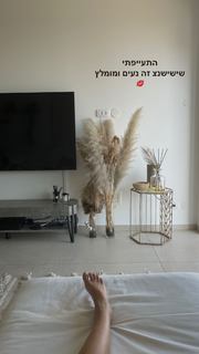 Danit Greenberg feet photo thumbnail