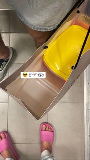 Danit Greenberg feet photo thumbnail