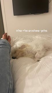 Danit Greenberg feet photo thumbnail