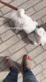 Danit Greenberg feet photo thumbnail