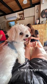 Danit Greenberg feet photo thumbnail