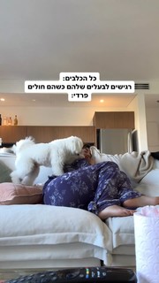 Danit Greenberg feet photo thumbnail